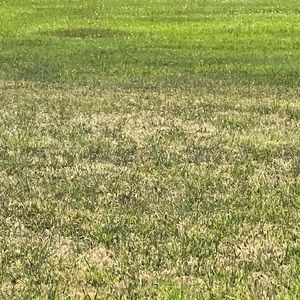 Meet your Posher, Brittney